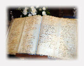 wp999c5530_1b.jpg